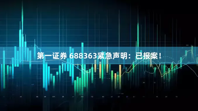 第一证券 688363紧急声明：已报案！